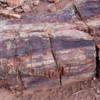 Petrified log, Valley of Fire State Park