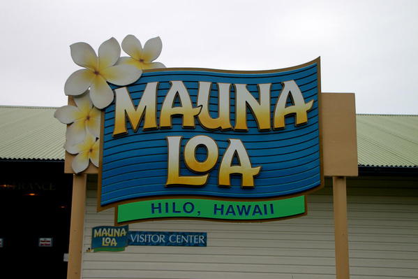 Mauna Loa Macadamia Nut Factory Tour