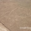 Nazca-Lines-106
