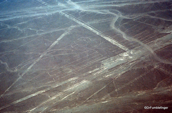 Nazca lines. The Parrot