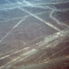 Nazca lines.  The Parrot