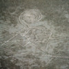 Nazca lines. Monkey