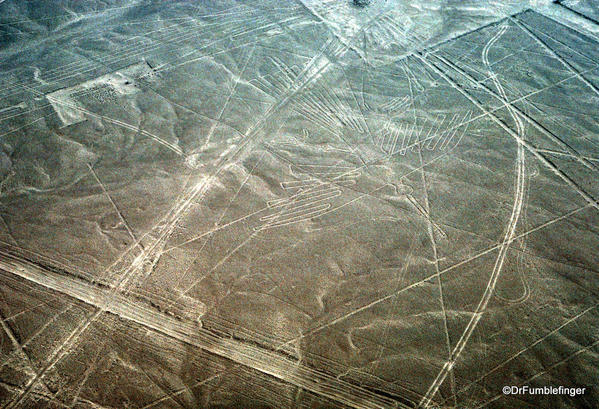Nazca lines. Condor