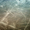 Nazca lines. Condor
