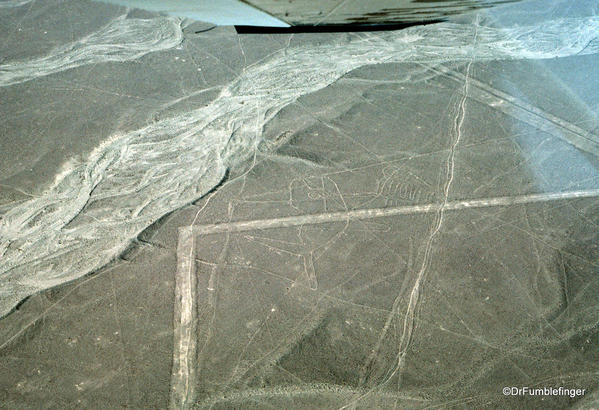 Nazca lines. Whale
