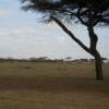 Ethiopia Rift Valley scenary, a dry and barren landscape