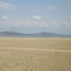 Abiata National Park.  Loss of water has resulted in drying up of the lake