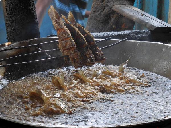 Fresh Fish, speared and dunked into boiling oil