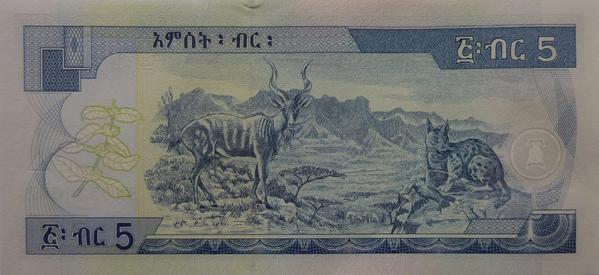 5 Ethiopian Birr note -- Back