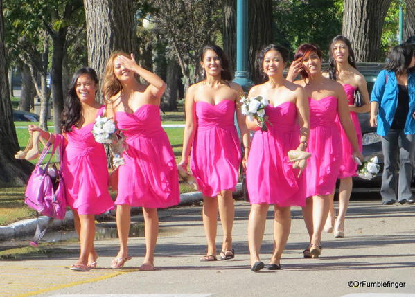 A colorful field of bridesmaids, Manitoba Legislative Bldg. A popular place for wedding photos