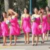 A colorful field of bridesmaids,  Manitoba Legislative Bldg.  A popular place for wedding photos