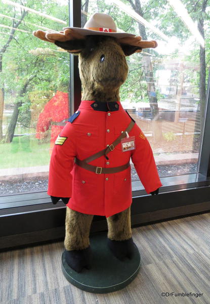 Royal Canadian Moose at the Winnipeg Mint
