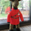 Royal Canadian Moose at the Winnipeg Mint