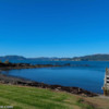 11) The view from Waihau Bay Lodge