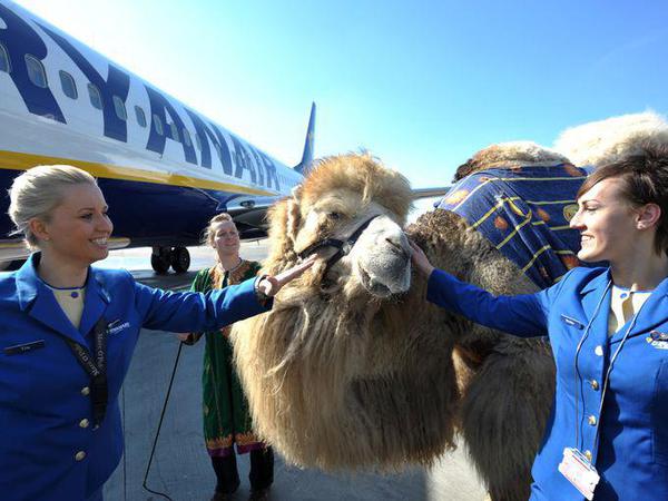 RYANAIR photo courtesy AFP and Getty Images