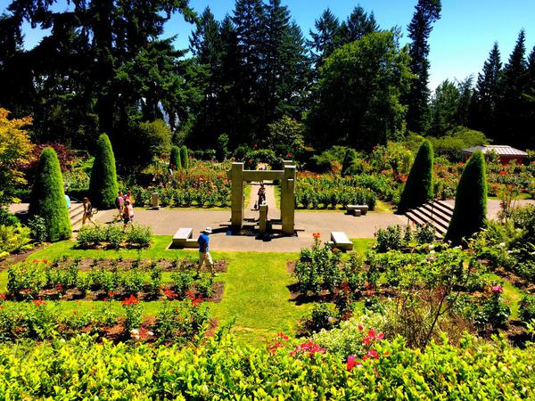 Portland Rose Garden Overview