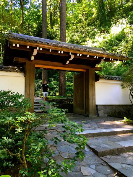 Japanese Garden Gate