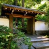 Japanese Garden Gate: Entering the Japanese Gate