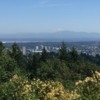 View Over Portland: Council Crest Park View