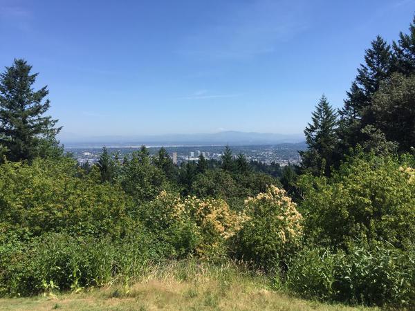 View Over Portland II