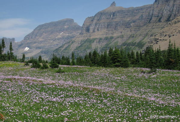Glacier National Park -- Meadow and Garden Wall