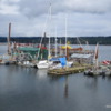Harbor at Fanny Bay, B.C.