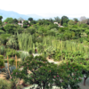 Jardín_Etnobotánico_en_Oaxaca