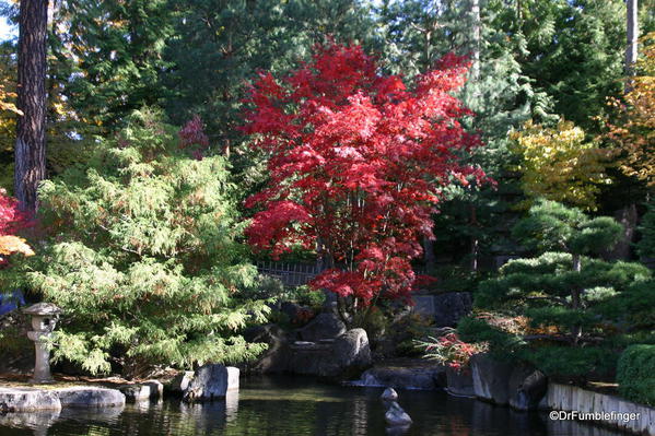 Nishinomiya Tsutakawa Japanese Garden in Autumn, Manito Park, Spokane
