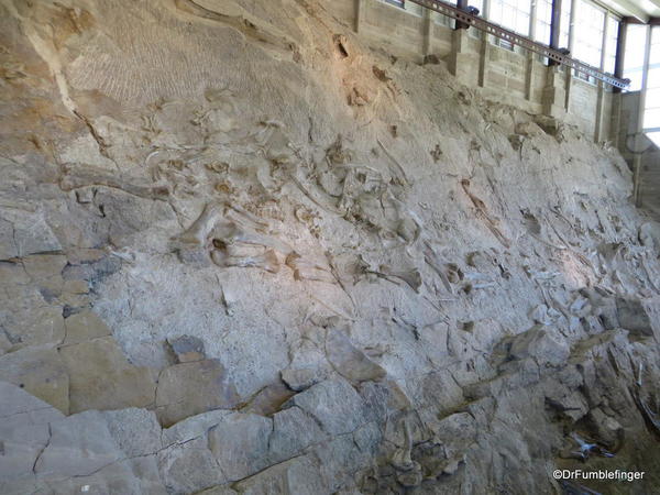 Dinosaur National Monument. Fossil Bone quarry site