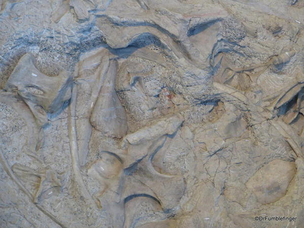 Dinosaur National Monument. Fossil Bone quarry site