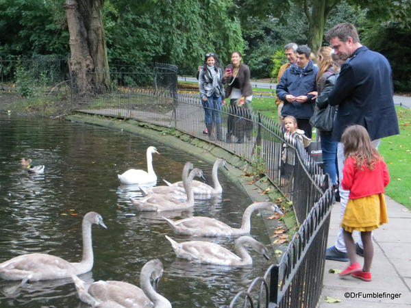 St. Stephen's Green, Dublin. Feeding the Swans