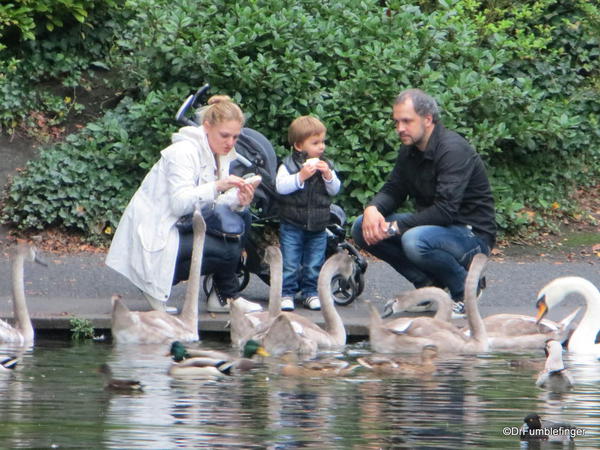 St. Stephen's Green, Dublin. Feeding the Swans