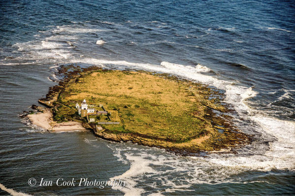 Photo 24-08-2015 08 20 30 Coquet Island Northumberland