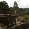 16 2015-11 Guatemala Tikal 100: View of Temple I from the funery complex
