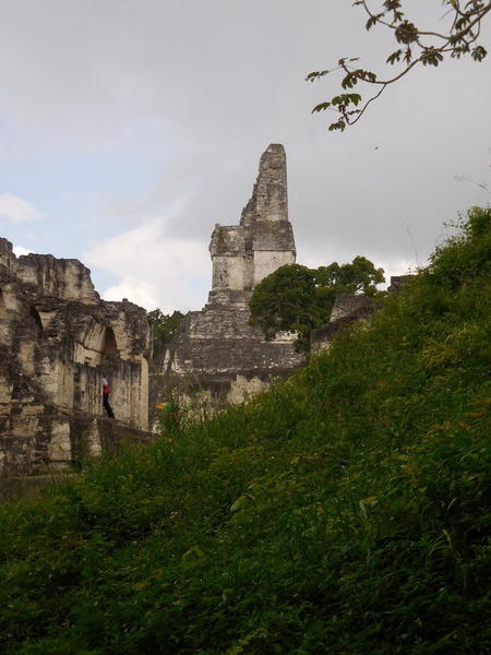 21 2015-11 Guatemala Tikal 063