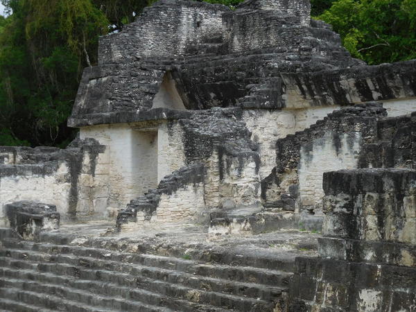 24 2015-11 Guatemala Tikal 051