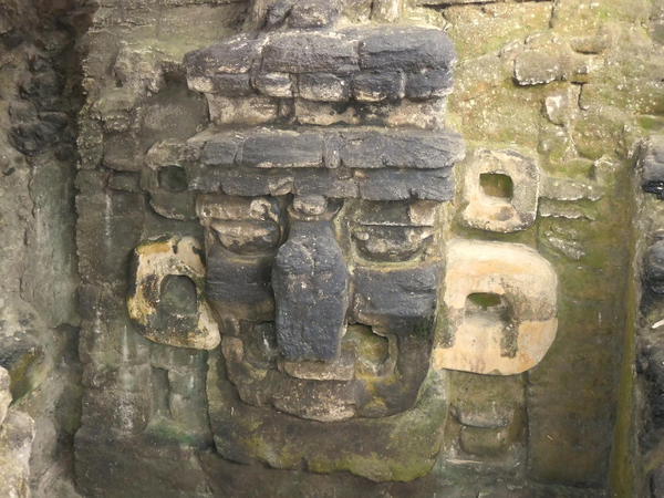 26 2015-11 Guatemala Tikal 096