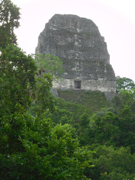28 2015-11 Guatemala Tikal 057