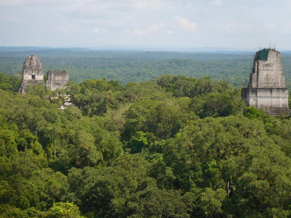 29 2015-11 Guatemala Tikal 151