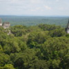 29 2015-11 Guatemala Tikal 151: Distant view of the temple complex