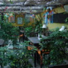 58 2015-11 Guatemala Antigua Cafe de Escalonia 05: A place to eat lunch