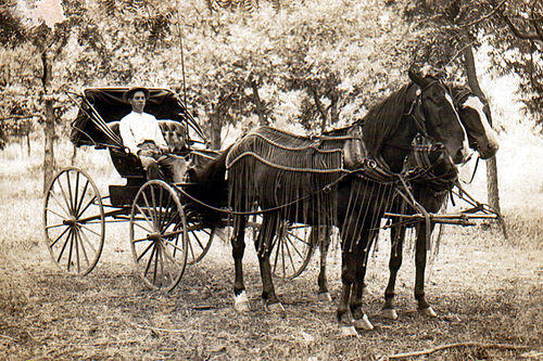 tmp_22988-500px-Horse_and_buggy_1910571869090