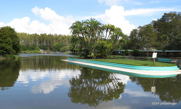 One of several large pools at Gatorland