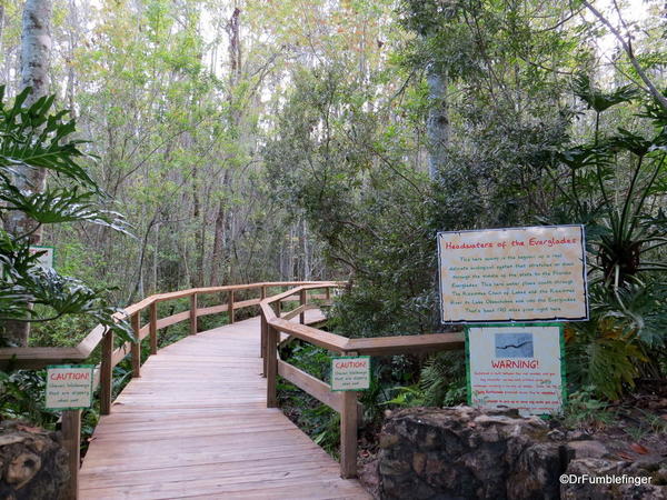 Gatorland, Swamp walk