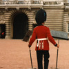 Cleanup at Buckingham Palace: Cleanup at Buckingham Palace