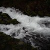 Multnomah  Falls 1