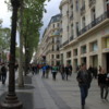 The Champs-Elysées, Paris