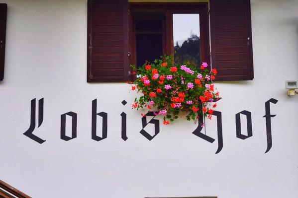 Lobis Hof Close Up