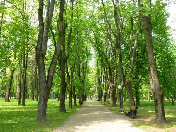 18 a-walk-in-one-of-the-parks-in-minsk-belarus