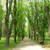 18 a-walk-in-one-of-the-parks-in-minsk-belarus